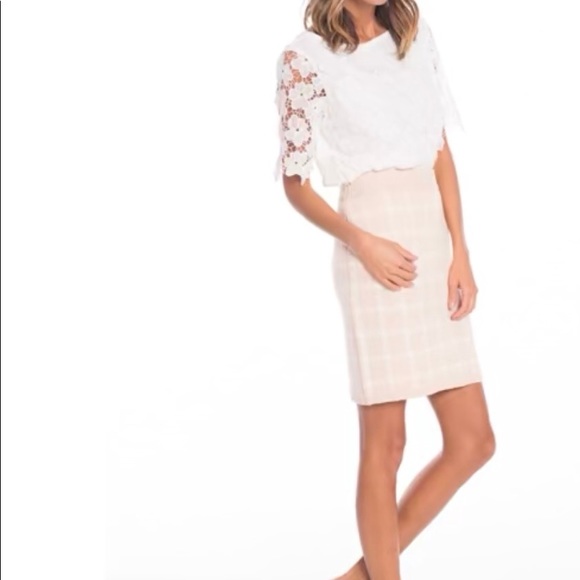 NWOT English Factory Pink and white skirt - Picture 4 of 11